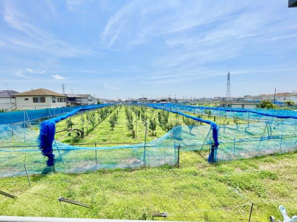 柏市南逆井３丁目の中古一戸建て