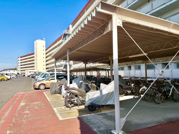 マンション柏サルビア
