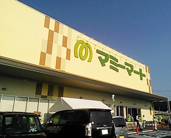 流山市古間木196街区　C号棟　新築戸建(マミーマート流山セントラルパーク店)