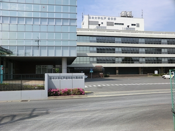松戸市栄町10期　新築戸建(日本大学松戸歯学部付属病院)