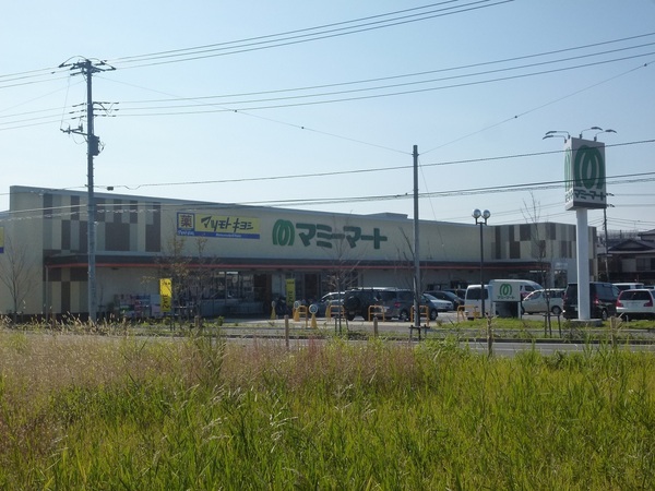 グラビスコート流山(マミーマート西平井店)