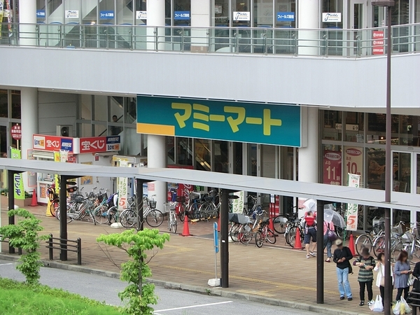 南柏パークハウスＢ棟(マミーマート南柏店)