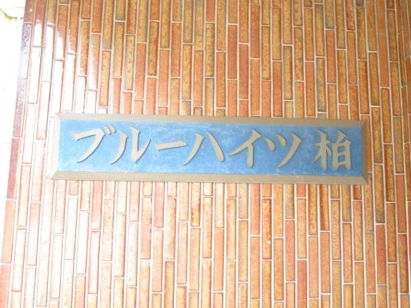 ブルーハイツ柏