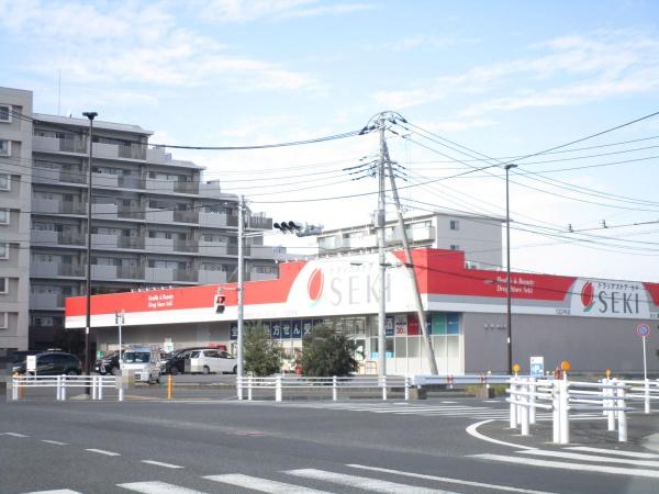 柏市船戸山高野の中古一戸建て(ドラッグストアセキ柏たなか店)