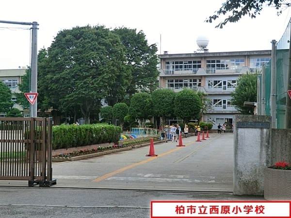 柏市西原2期　新築戸建(柏市立西原小学校)