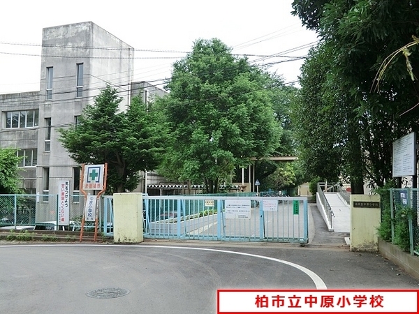 レクセルマンションつくしが丘(柏市立中原小学校)