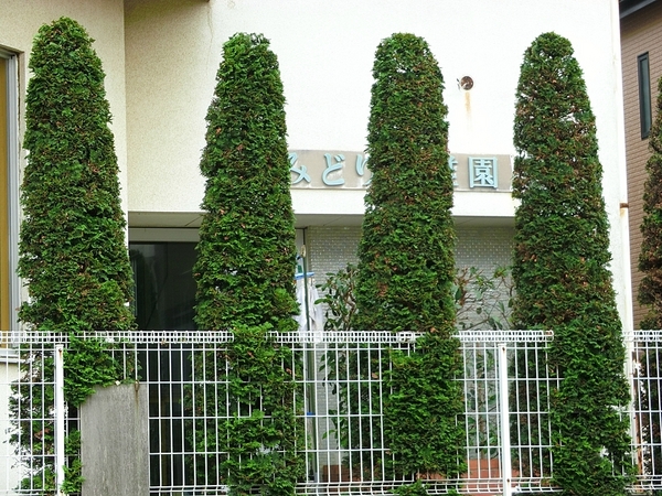 レクセルマンションつくしが丘(認定こども園みどり柏みどり幼稚園)