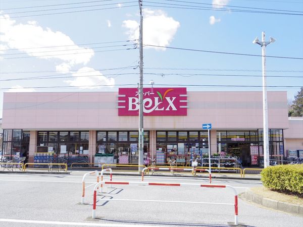 レクセルマンションつくしが丘(ベルクス柏つくしが丘店)