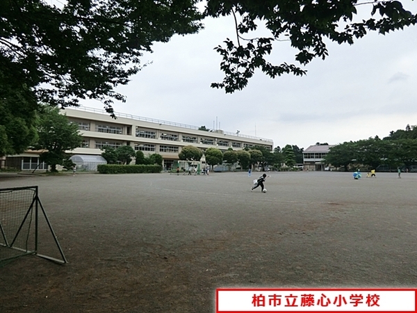 柏市藤心５丁目の新築一戸建(柏市立藤心小学校)