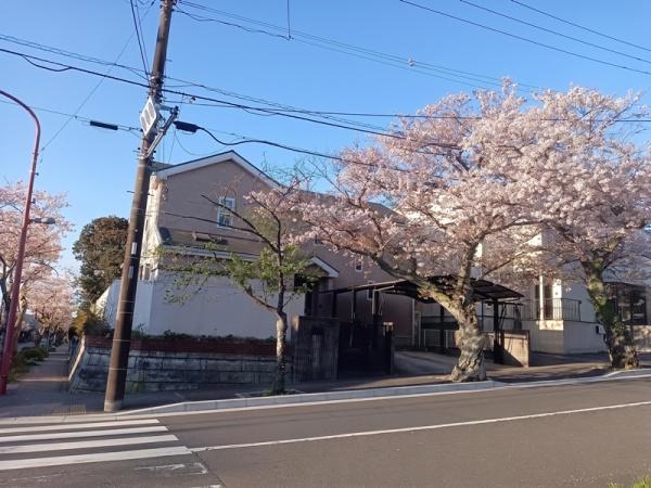 逗子市久木８丁目の中古一戸建