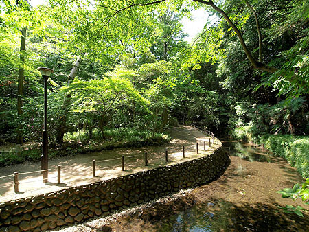 世田谷区野毛２丁目の土地(等々力渓谷公園)