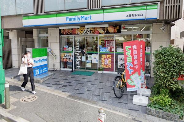世田谷区上野毛4丁目の中古一戸建て(ファミリーマート上野毛駅前店)