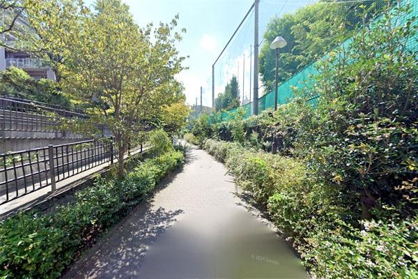 パークノヴァ神宮前(原宿外苑緑道)