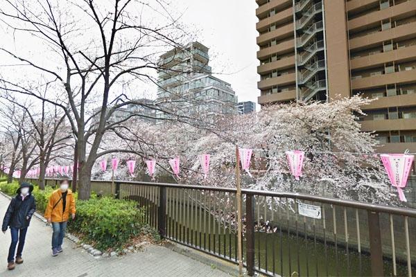 目黒区三田2丁目の中古一戸建て(目黒川)