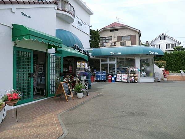 ディアナコート自由が丘(ナショナル田園)