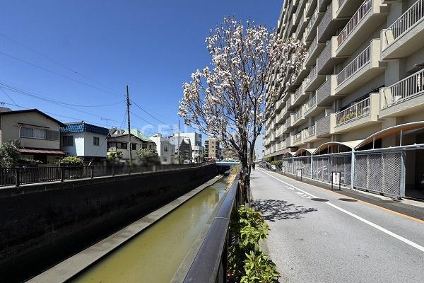 マンション池上