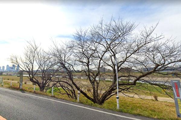 世田谷区野毛１丁目の土地(多摩川遊園)