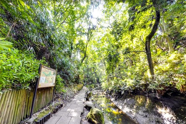世田谷区等々力1丁目の中古一戸建て(等々力渓谷公園)