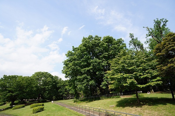 サンクタス代々木ヒルズ(東京都立代々木公園)
