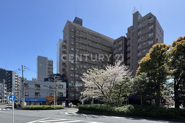 ウィン新宿若松町