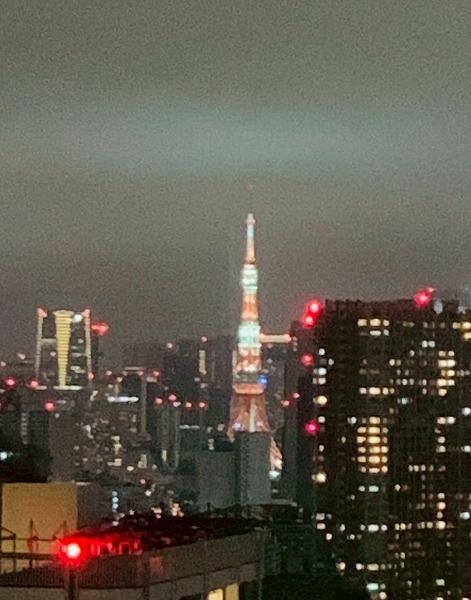 ワールドシティタワーズブリーズタワー