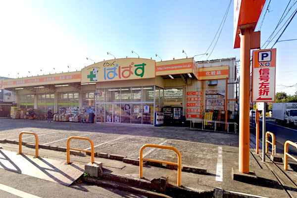 デュオヒルズ武蔵新田(どらっぐぱぱす下丸子店)
