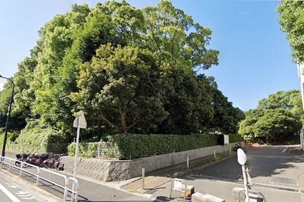 品川八潮パークタウン潮路東ハイツ第56号棟(八潮公園)