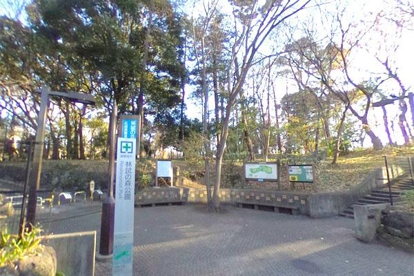 目黒区中央町1丁目の土地(林試の森公園)