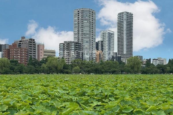 パークタワー上野池之端