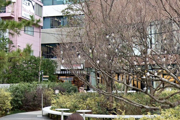 テラス渋谷美竹(東急ストアフードステーション渋谷キャスト店)