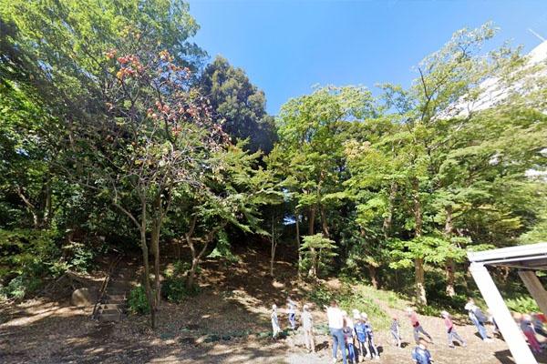 コープ高輪(高輪森の公園)