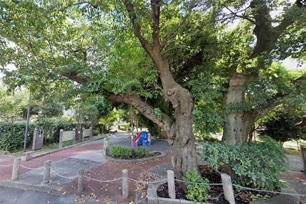 世田谷区桜上水1丁目の中古一戸建て(桜上水1-1遊び場)
