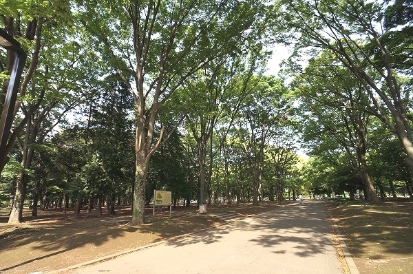 シャーレー原宿(代々木公園)
