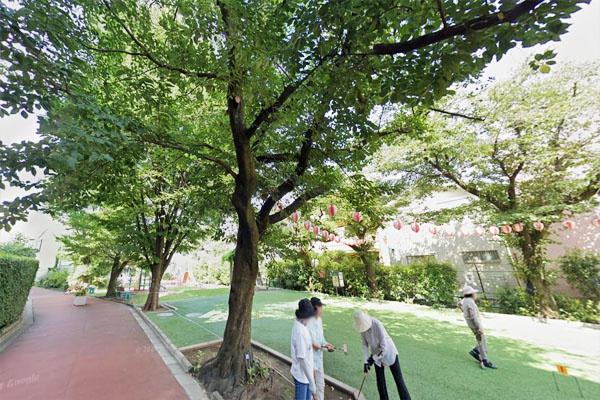 ライオンズガーデン幡ヶ谷(幡ヶ谷新道公園)