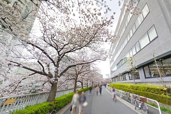 目黒パーク・マンション(目黒川)