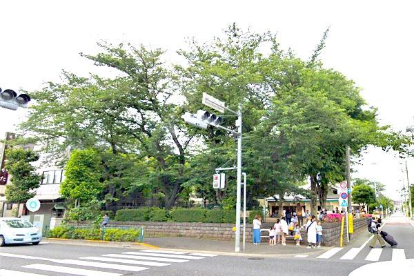 上野毛スカイハイツ(世田谷区立森の公園)