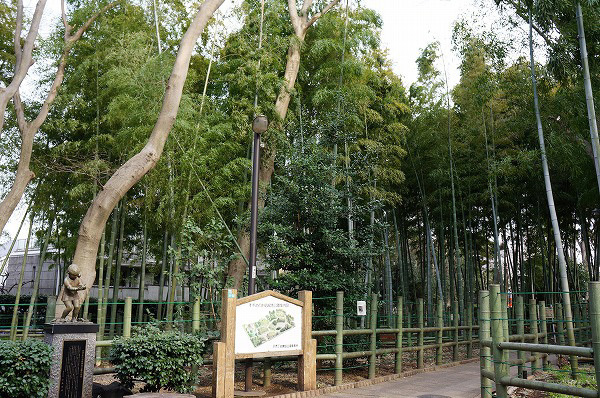 目黒区南１丁目の中古一戸建て(すずめのお宿緑地公園)