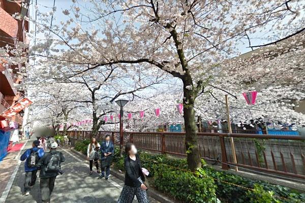 キャッスルマンション青葉台(目黒川)