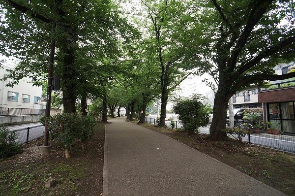 経堂セントラルマンション(烏山川緑道)