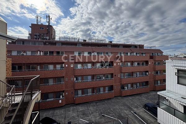 シャンボール弦巻(その他現地)