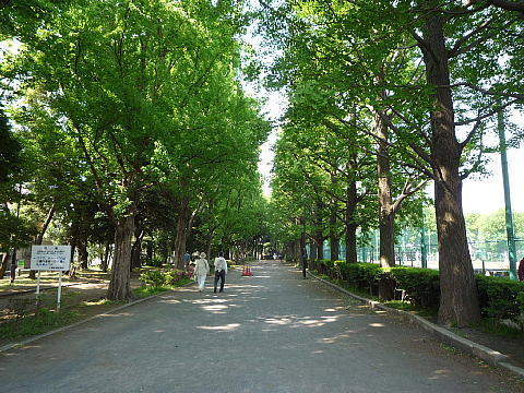 松原フラット(羽根木公園)