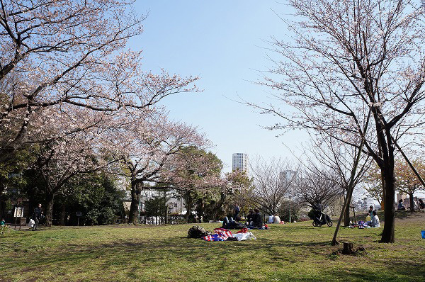 南平台マンション(西郷山公園)