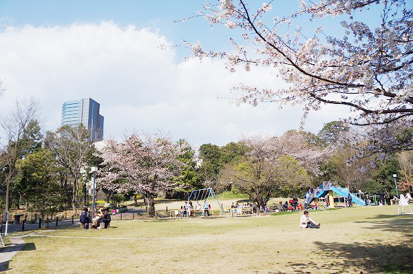 南平台マンション(目黒区立菅刈公園)