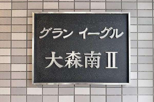 グランイーグル大森南II