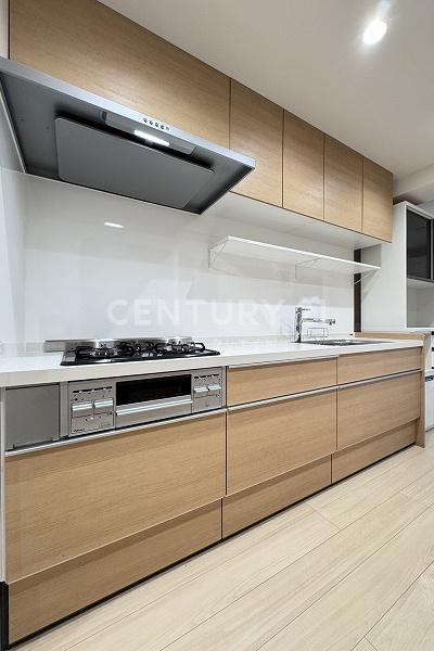 グランイーグル大森南II