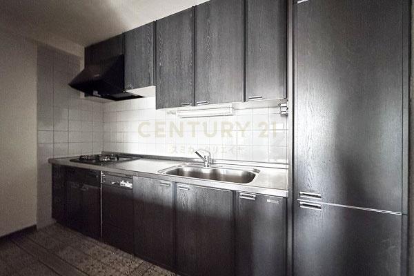 キャッスル共進マンション