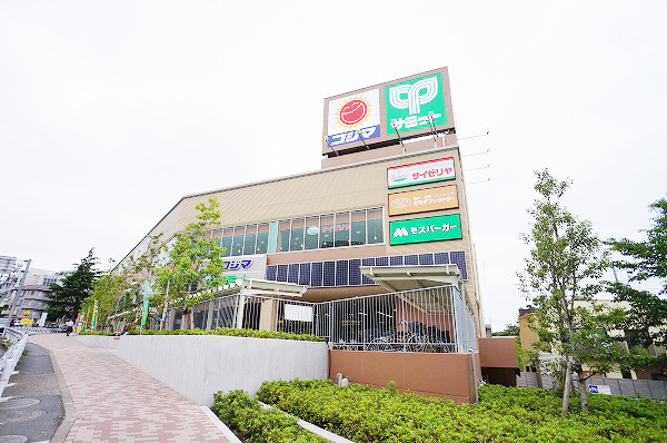 成城南フラッツ(サミットストア成城店)