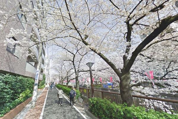 クレッセント目黒青葉台(目黒川)