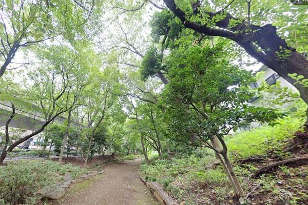 ライオンズマンション松原第２(玉川上水永泉寺緑地)