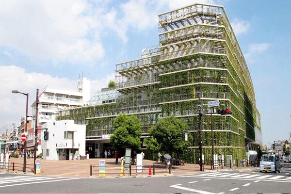 目黒区緑が丘３丁目の中古一戸建て(東京急行電鉄（株）東急病院)